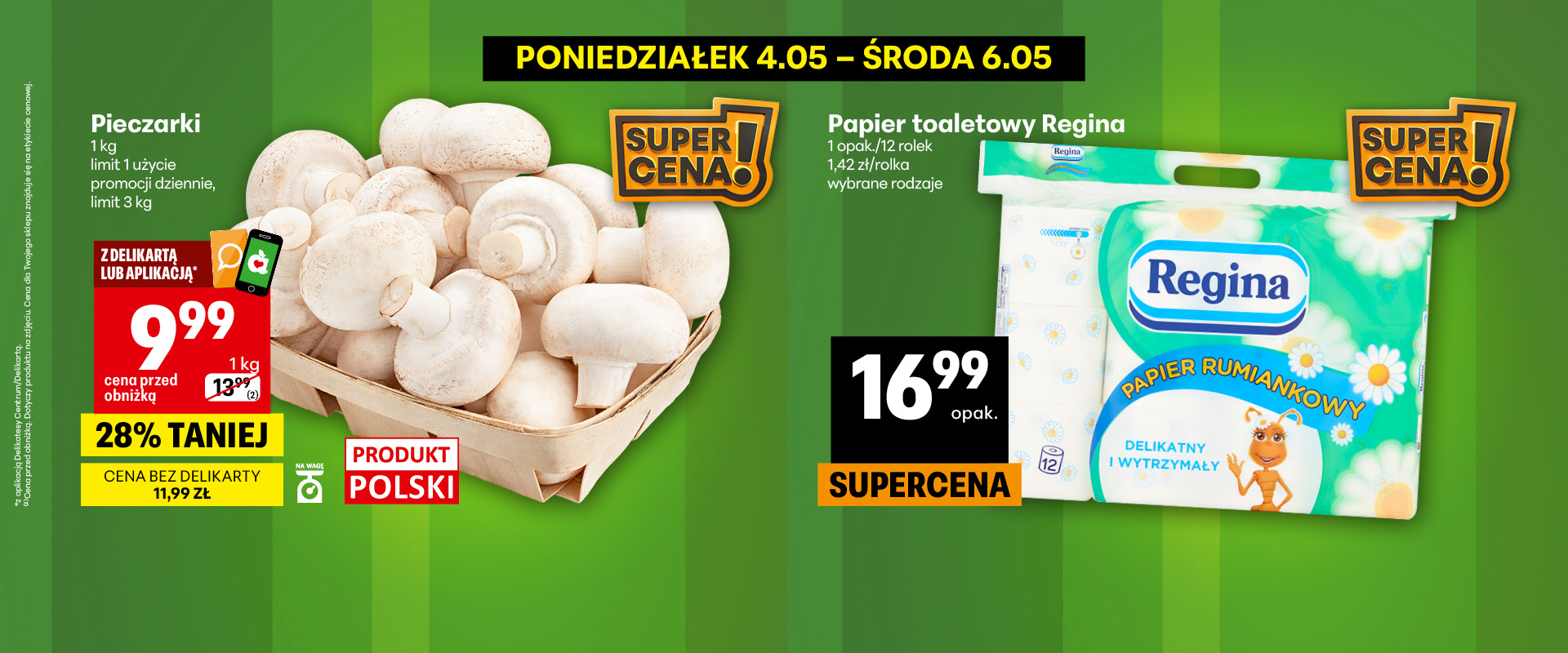 slajd